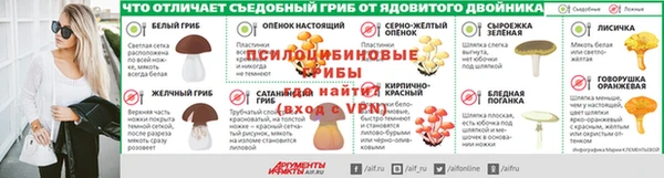 хмурый Алексин