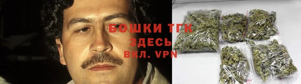 дживик Няндома