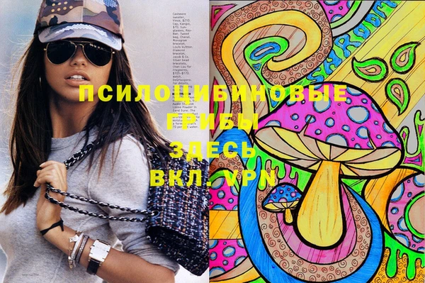 хмурый Алексин