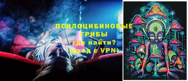 круглые Алзамай
